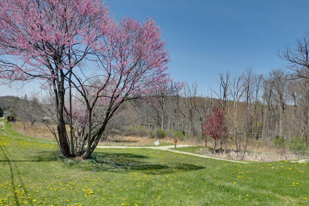 Pet-Friendly Pennsylvania Vacation Rental With Pool! Laughlintown Eksteriør billede